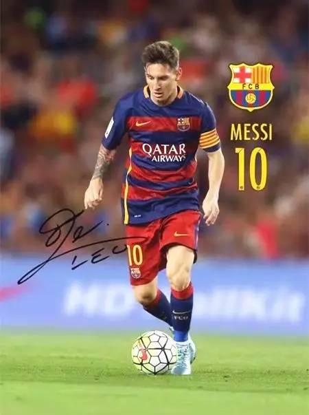 的昆虫与小 的昆虫与小